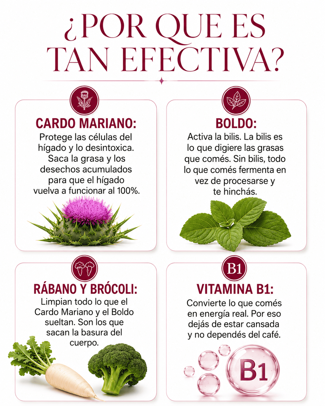 Aurea Prestige - Tu aliado Para Adelgazar, Recuperar tu figura y Equilibro Hormonal.