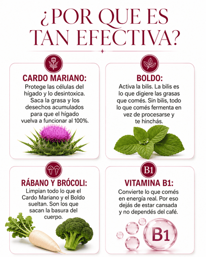 Aurea Prestige - Tu aliado Para Adelgazar, Recuperar tu figura y Equilibro Hormonal.
