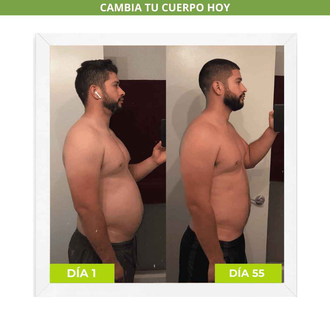 MILK THISTLE | Sistema de Soporte Hepático de Alta Precisión