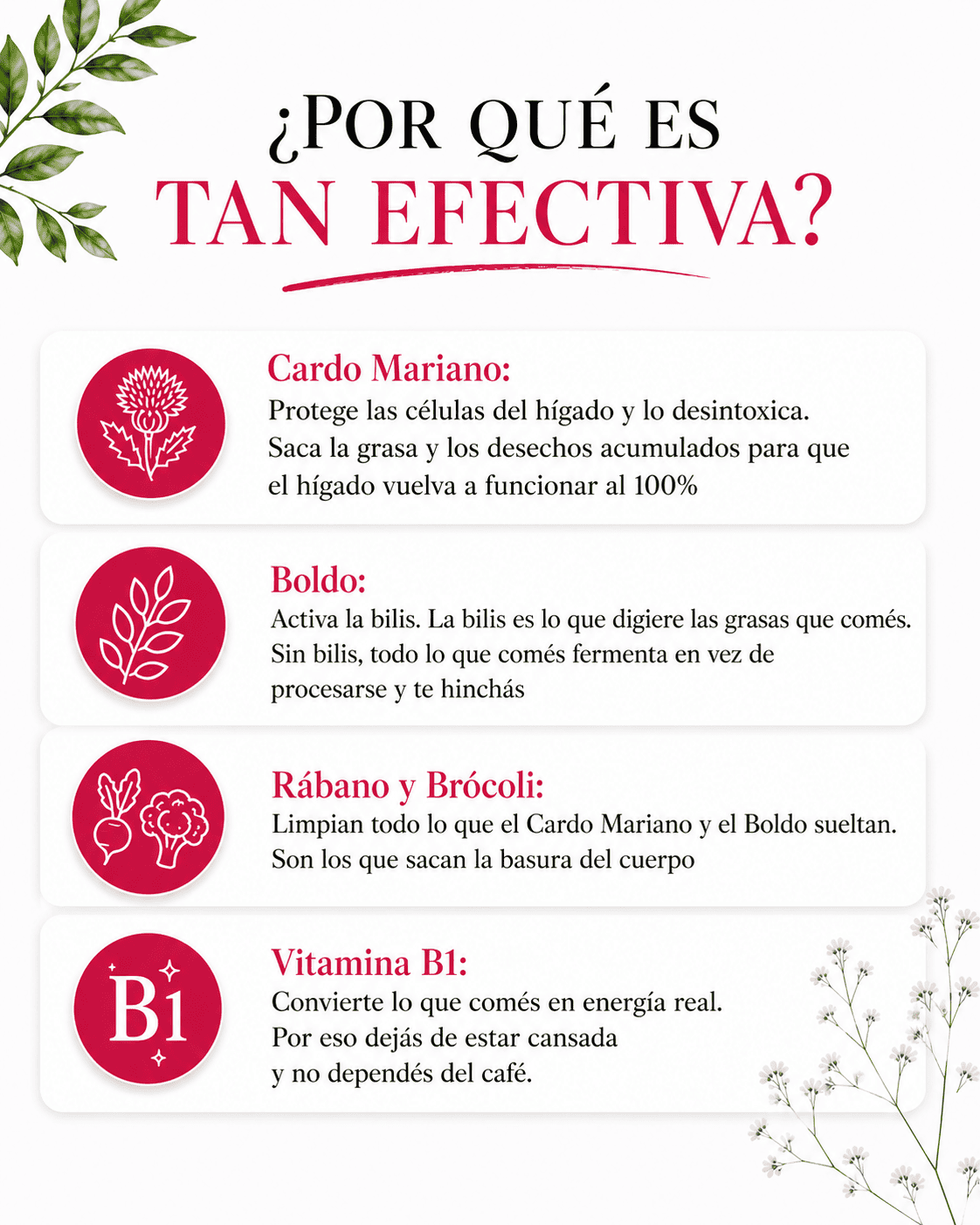 Aurea Prestige — Tu aliado en la Menopausia para adelgazar, recuperar tu figura y tu equilibrio hormonal
