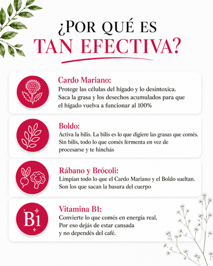 Aurea Prestige — Tu aliado en la Menopausia para adelgazar, recuperar tu figura y tu equilibrio hormonal